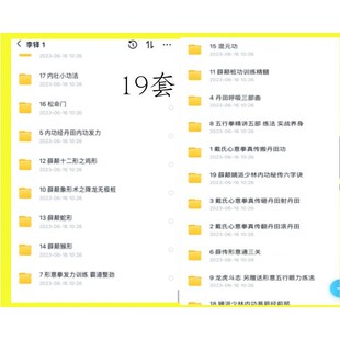 李铎薛颠桩功精髓形意通三关内功经内壮象形术形意拳发力戴氏心意
