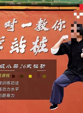 农永4套八极小架26式站桩功+ 零基础学八极拳 +金刚八式+秘传功法