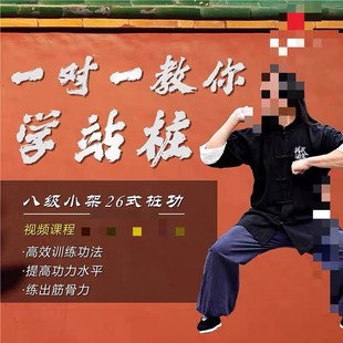 金刚八式 零基础学八极拳 秘传功法 站桩功 农永4套八极小架26式