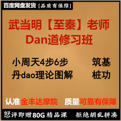 武当明真至秦老师丹dao实修班 40讲高清视频筑基桩功小周天