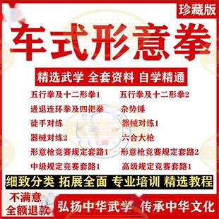 文W慧H高宝东车式形意拳视频教程五行拳十二形拳连环拳竞赛套路