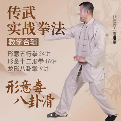 唐师 形意十二形全16讲+龙形八卦掌+形意五行拳 传武实战拳法教学