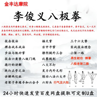 李俊义八极拳48集内部教学视频两仪桩发力八级门规小架老架二路