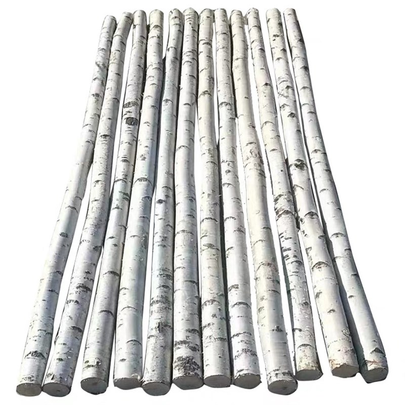 天然白桦树装饰树白桦树干原木装饰树段树枝树杈枯树装饰橱窗隔断