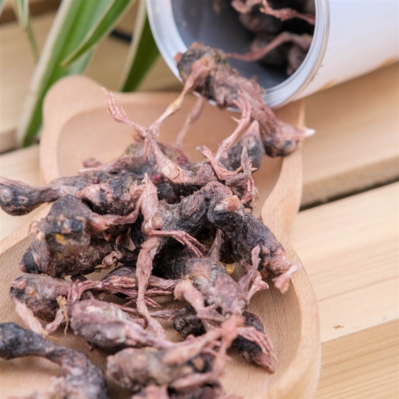 冻干鹌鹑宠物猫咪零食增肥发腮磨牙补钙零食鹌鹑冻干粮生骨肉猫粮