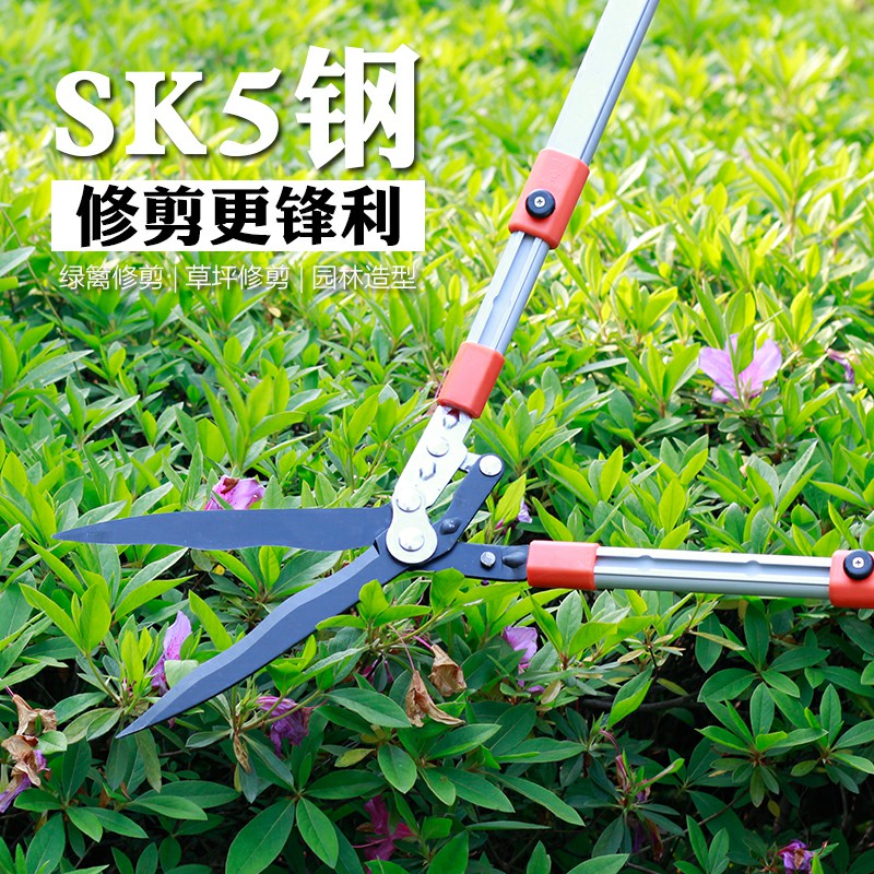 花剪园艺剪刀绿化家用修枝剪树枝果树造型剪草坪剪伸缩绿篱园林剪