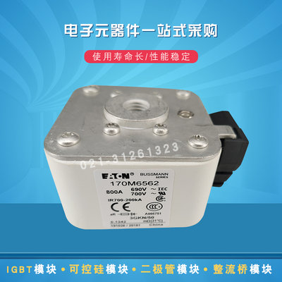 巴斯曼快速熔断器170M6557 6558 6559 6560 6561 6562 6563 6564
