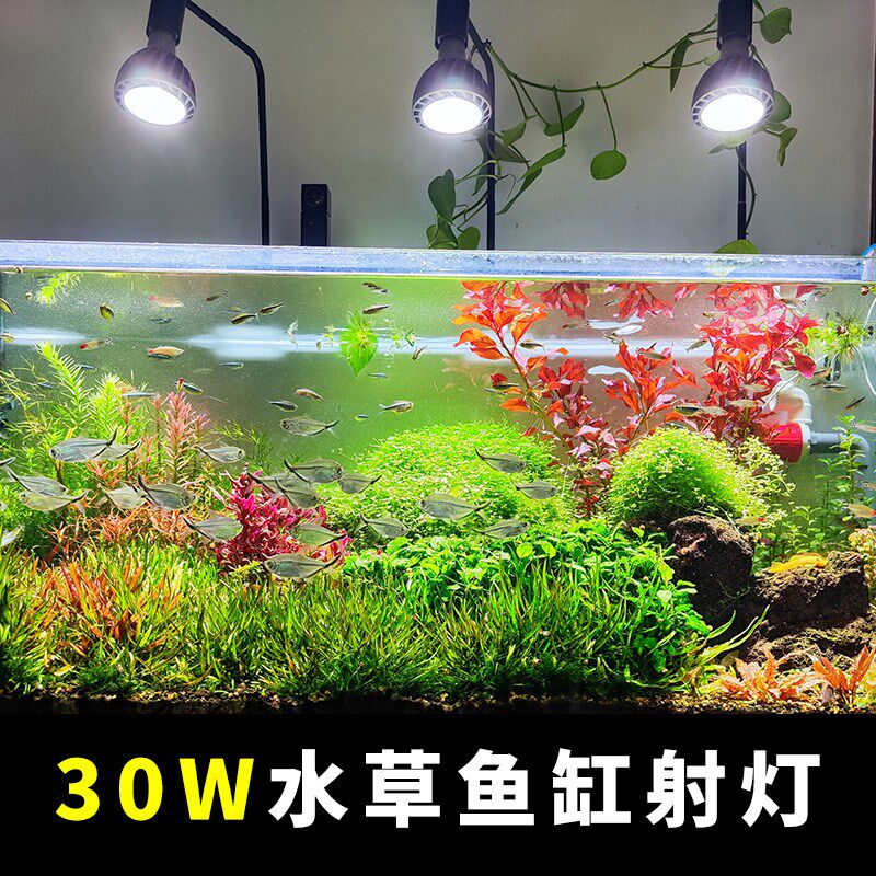 光天下全光谱生长灯原生溪流缸南美水草鱼缸补光灯暴藻灯泡