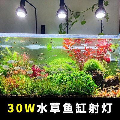 光天下全光谱生长灯原生溪流缸南美水草鱼缸补光灯暴藻灯泡