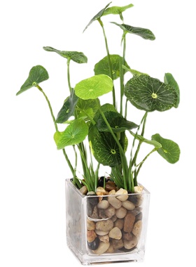 创意绿植叶草金钱草仿真家居装饰办公超市仿真盆景