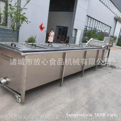酱菜流线 净冻菜流水线 速冻豆FX-600角流线 速水蔬菜清洗水机