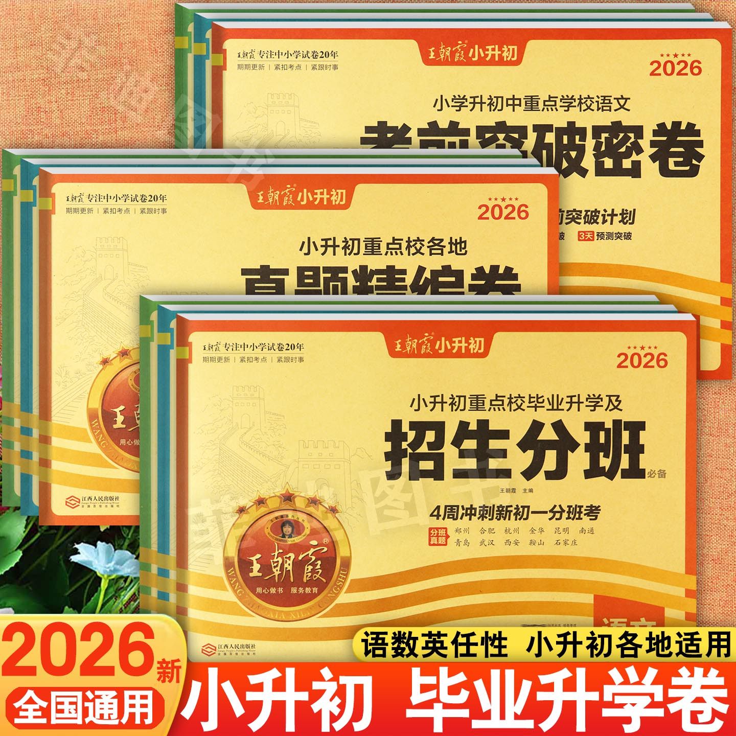 2026王朝霞小升初重点学校各地真题精编卷考前突破密卷招生分班语文数学英语,书籍/杂志/报纸,小学升初中,淘宝优惠券,粉丝福利购,淘宝优惠卷