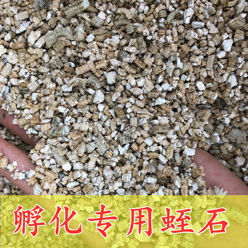 龟蛋孵化蛭石白蛭石黄蛭石蛇蛋蜥蜴蛋乌龟受精蛋孵化垫材保湿包邮,宠物/宠物食品及用品,爬宠缸/箱,淘宝优惠券,粉丝福利购,淘宝优惠卷