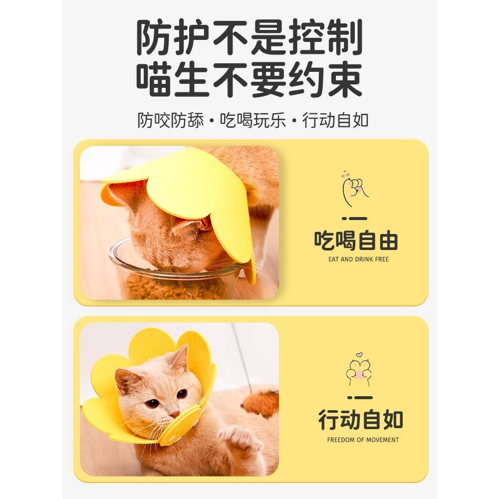 伊丽莎白圈猫咪绝育项圈伊利沙白圈防舔颈圈头套狗狗脖圈宠物之满,宠物/宠物食品及用品,宠物伊丽莎白圈,淘宝优惠券,粉丝福利购,淘宝优惠卷
