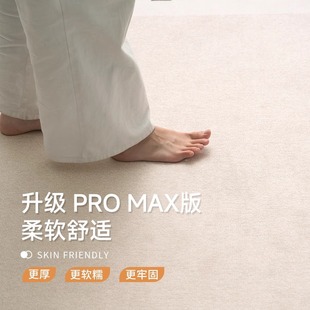 复古可机洗卧室可擦家用沙发茶几地垫 可拆洗地毯客厅雪尼尔新款