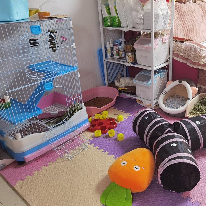 【乐园家】兔子狗狗益智食盒兔子解闷玩具 寻宝解闷脚印宠物玩具,宠物/宠物食品及用品,兔兔玩具,淘宝优惠券,粉丝福利购,淘宝优惠卷