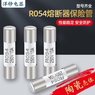15A 1A10A 20A 20mm保险芯250V熔断器0.5A R054陶瓷保险丝保险管5