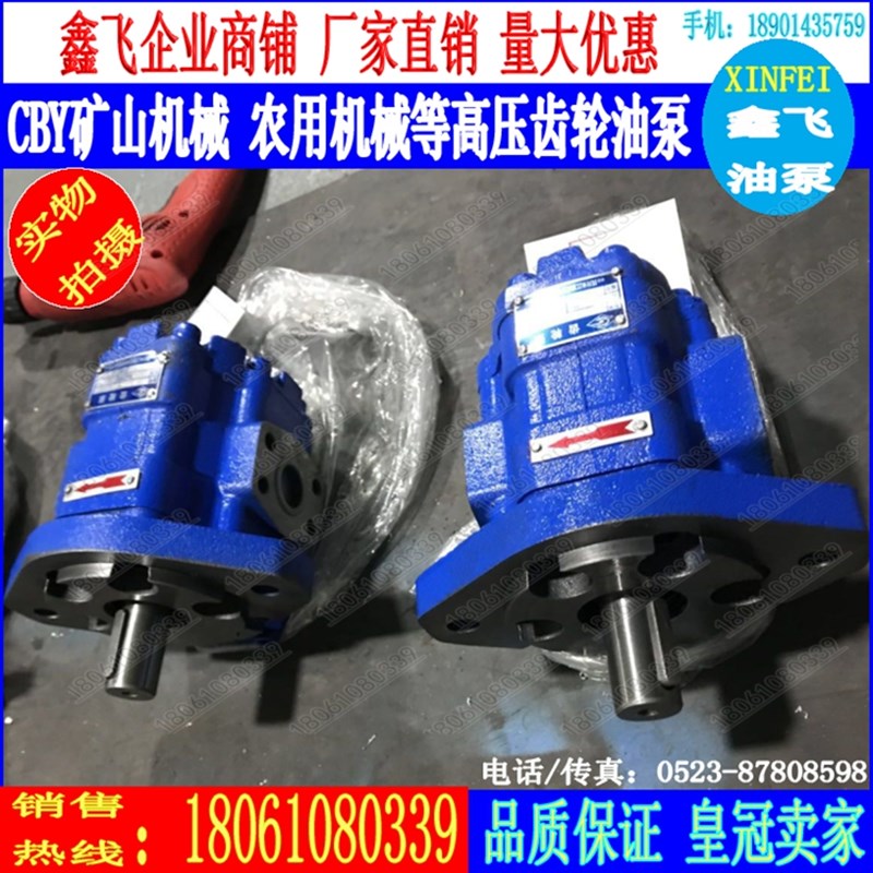 CBY4125 4140 4150 4160 4170 4180 4190 4200长江型齿轮油泵A1FR