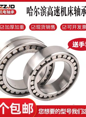 HRB哈尔滨双列圆柱滚子机床轴承NN3028 3030 3032 3034K/W33P5 P4