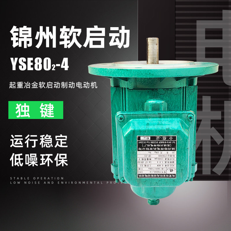 锦州特种电机YSE802-4/0.8kw 独键运行 起重冶金软启动制动电动机