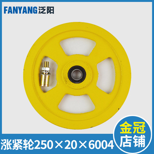 电梯涨紧轮250x20x6004 奥的斯250 240 限速器轴承6004 电梯配件