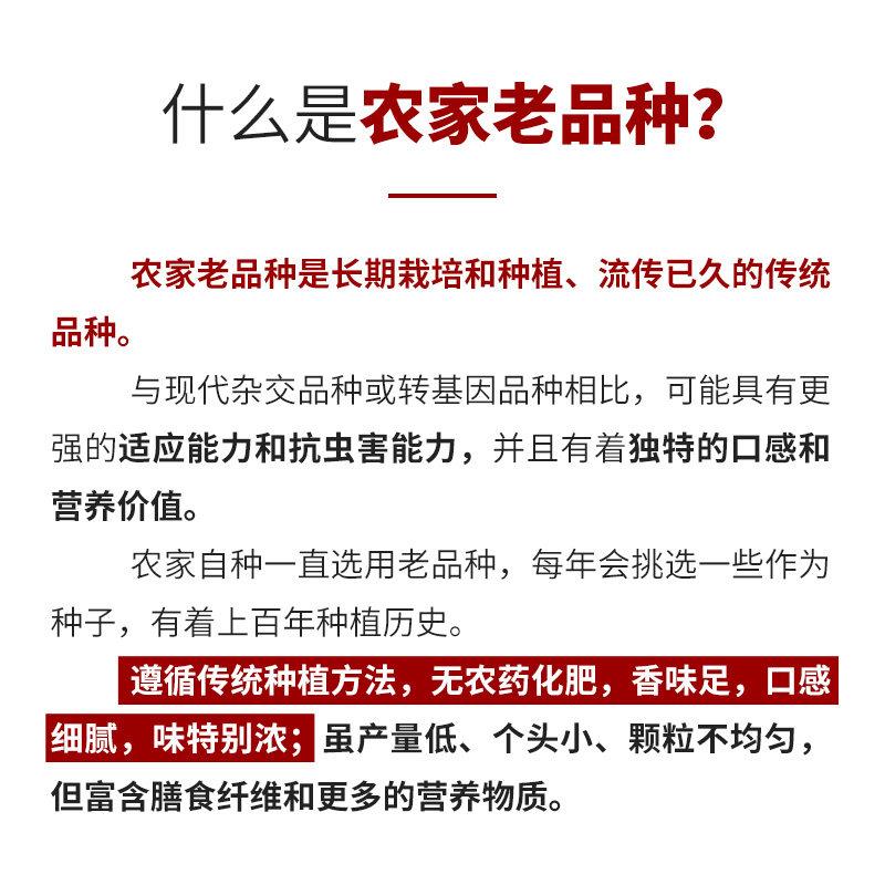 正宗农家自种黑米新米2斤/5斤包邮黑米杂粮五谷杂粮早餐黑米粥
