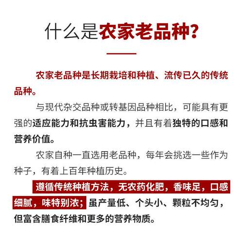 正宗农家自种黑米新米2斤/5斤包邮黑米杂粮五谷杂粮早餐黑米粥
