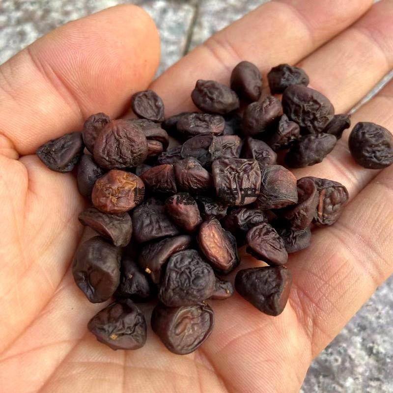 新货越南云南特产傣味烧烤香料香子椰罗八角小香籽哈尼族老挝香子