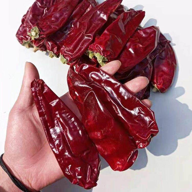 正宗新疆酱香炒米粉新疆铁皮椒板椒不辣干辣椒新疆炒米粉上色香甜