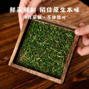 正宗新茶广西灵山相思茶藤茶凉茶野生茶回甘清甜烟酒肝茶叶