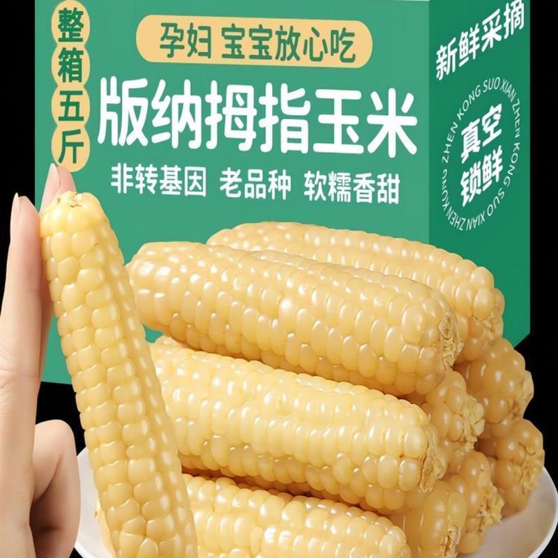 新货云南西双版纳拇指小玉