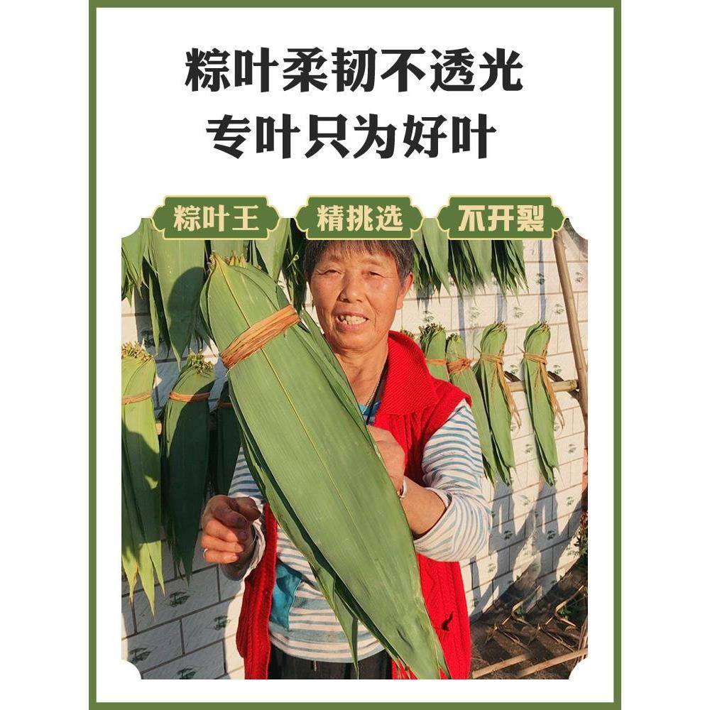 正宗烘干粽叶 新鲜大粽子叶 新鲜野箬叶 竹粽叶子晒干廖叶子 送棕