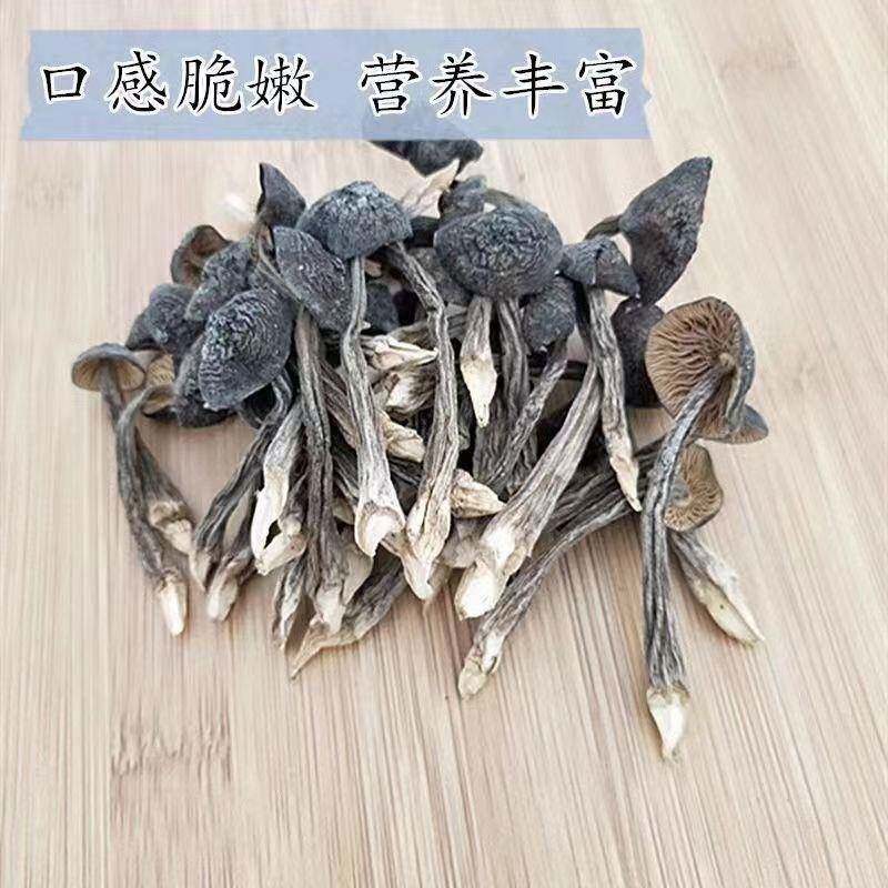 正宗云南特产鸡枞菌精选黑皮鸡枞菌干货云南鸡纵菌新鲜特产野生菌