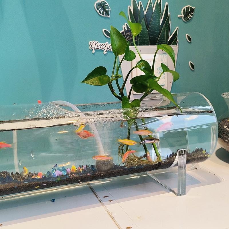 桌面鱼克共VWT缸压力管网红管道迷你小型创意个性鱼菜缸定制鱼生