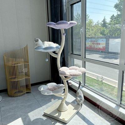 凯＆暴暴虎花猫朵猫瑞爬架大型猫跳台窝CKF猫树剑麻磨猫抓爪柱可