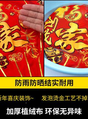 225新款大红灯笼灯吊灯生年意兴RYN隆大门口0一饰对挂新年春节过