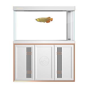 闽江鱼缸水族箱大型新中式 家用落厅地免客换轻奢水超白底现代款