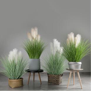 【西阳】模拟香蒲草大型盆景芦苇香蒲水烛装饰摆件绿色植物橱窗展