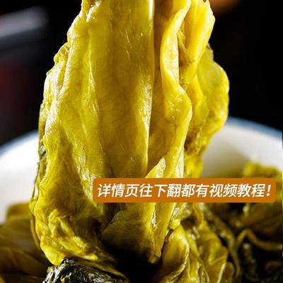 热卖乳酸菌泡菜发酵菌粉家