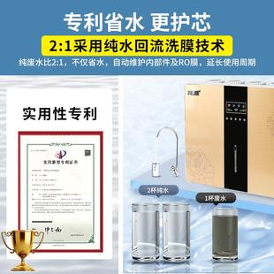 滤自来水过器除水垢净水YPN 净水器家用直饮净水机ro反厨渗透下式