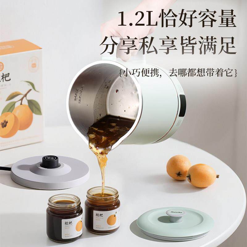 摩茶多功能养生壶316不锈钢全自动炖煮一体宽电压110v煮茶花茶壶