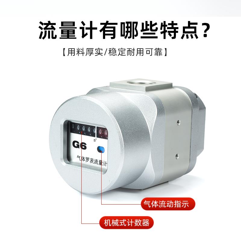 气体罗茨量氮计压缩空气天然化气液TSK气流二氧化碳气气体流量计