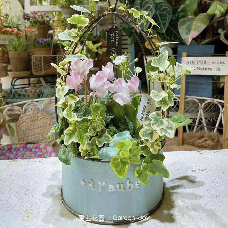 艺杂SP18G501货花做旧皮铁艺室内园装饰草花套|盆花盒铁吊盆鸟笼