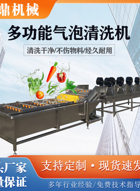 海鲜清洗机 生姜毛豆高压喷淋清洗设备 洗毛肚气泡翻滚洗菜机