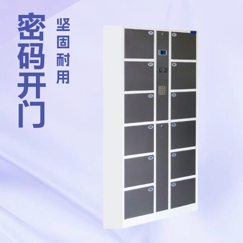 电子密码存包柜 人脸识别储物柜 商场超市寄存柜 智能手机柜
