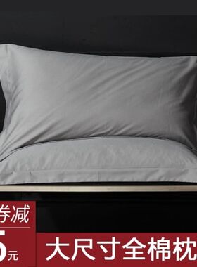 特大枕头套 60x9060x80特大号枕D套大人纯棉不含芯超大一对装55x8