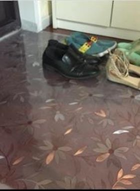 130*180进门门垫透明pvc地垫门厅走廊除M尘脚踏垫浴室门口吸水防
