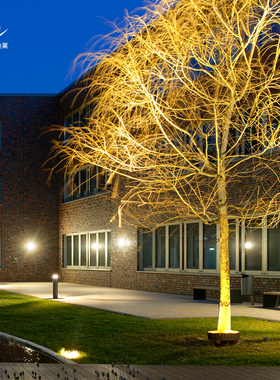 led抱树灯防水环形户外48W72W抱柱灯照树抱O箍射树景观投射围树灯