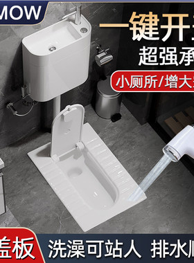 带盖子蹲便器蹲坑家m用厕所便盆水箱整套大便器化妆室便池蹬便器