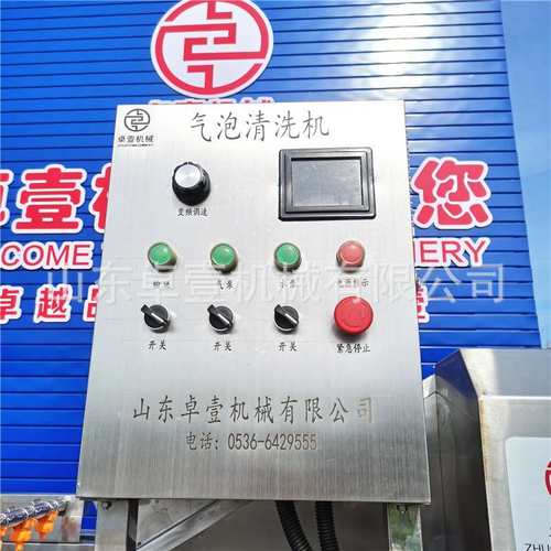 果蔬气泡清洗机地黄生姜清洗流水线净菜加工流水线大枣蓝莓清洗机